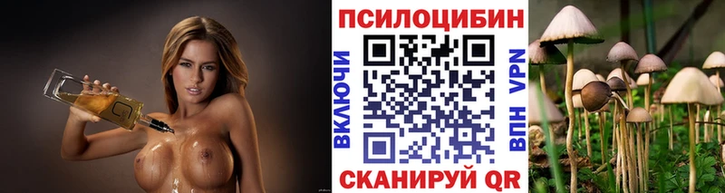 ОМГ ОМГ как войти  Салават  Галлюциногенные грибы прущие грибы  как найти наркотики 
